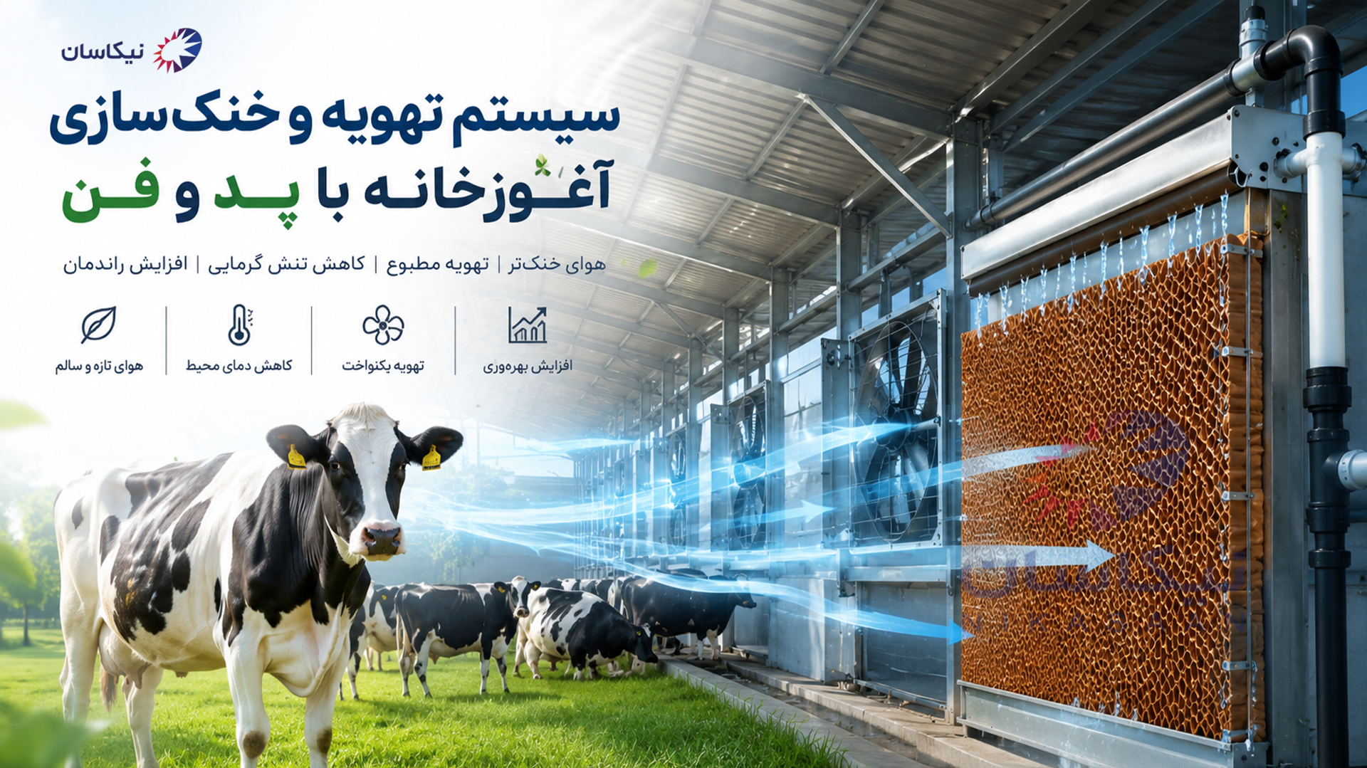 «بهترین سیستم تهویه و خنک‌سازی آغوزخانه با پد سلولزی و فن»