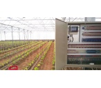 greenhouse-switchboard_2145855370