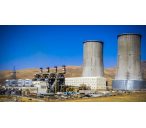 power-plant-cellulose-pad_945214680