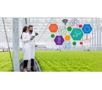 price-greenhouse-control-system