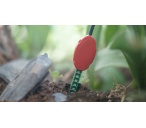 salinity-soil-moisture-sensor1