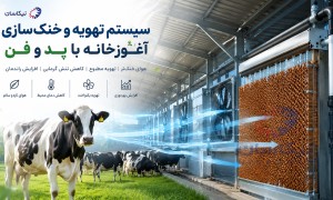 «بهترین سیستم تهویه و خنک‌سازی آغوزخانه با پد سلولزی و فن»