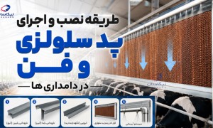 طریقه نصب و اجرای پد سلولزی و فن در دامداری‌ها | آموزش کامل سیستم تهویه دامداری و مرغداری