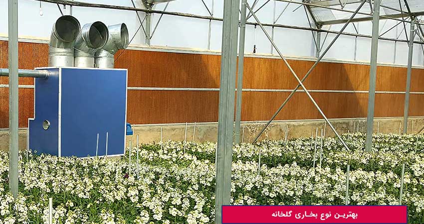 بهترین نوع بخاری گلخانه