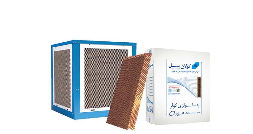 خودشویی