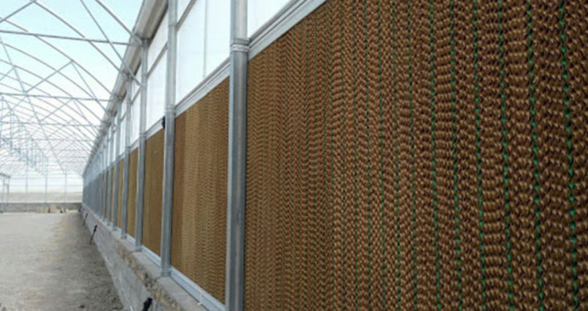 دلیل استفاده از پد سلولزی گلخانه ای در گلخانه ها چیست؟